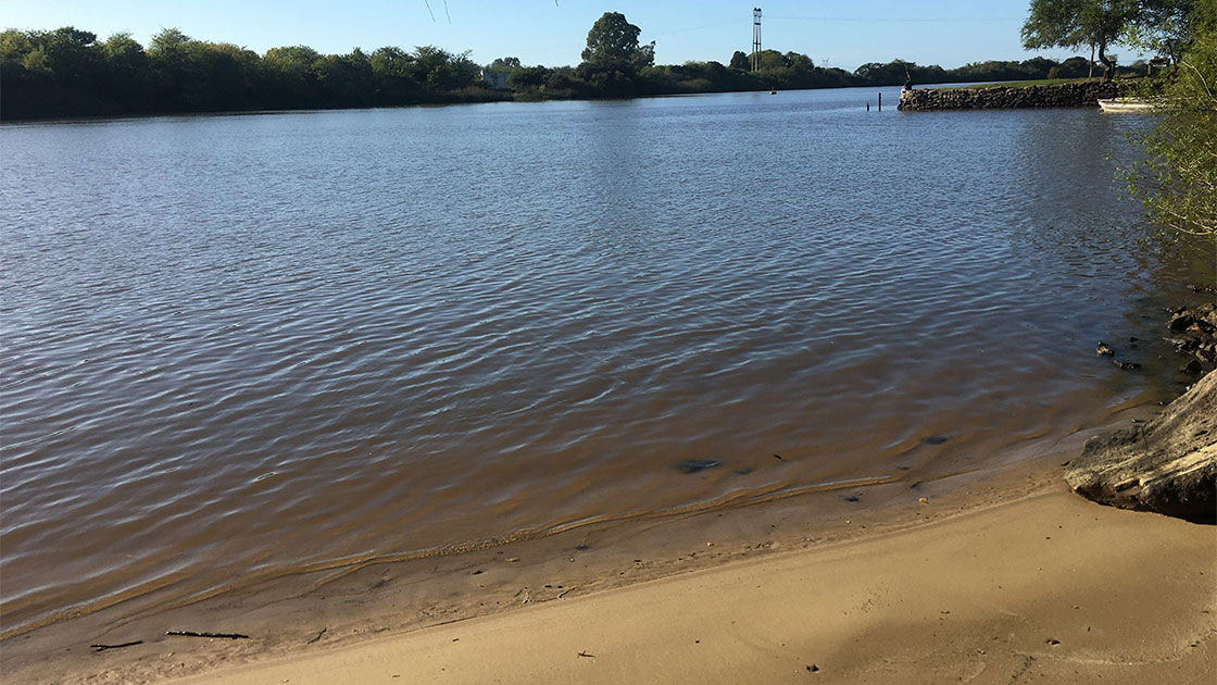 orilla Vista de orilla del río