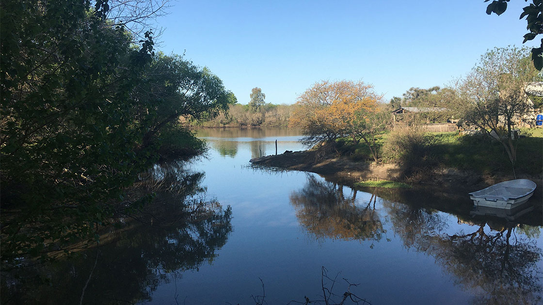 rio Vista del río